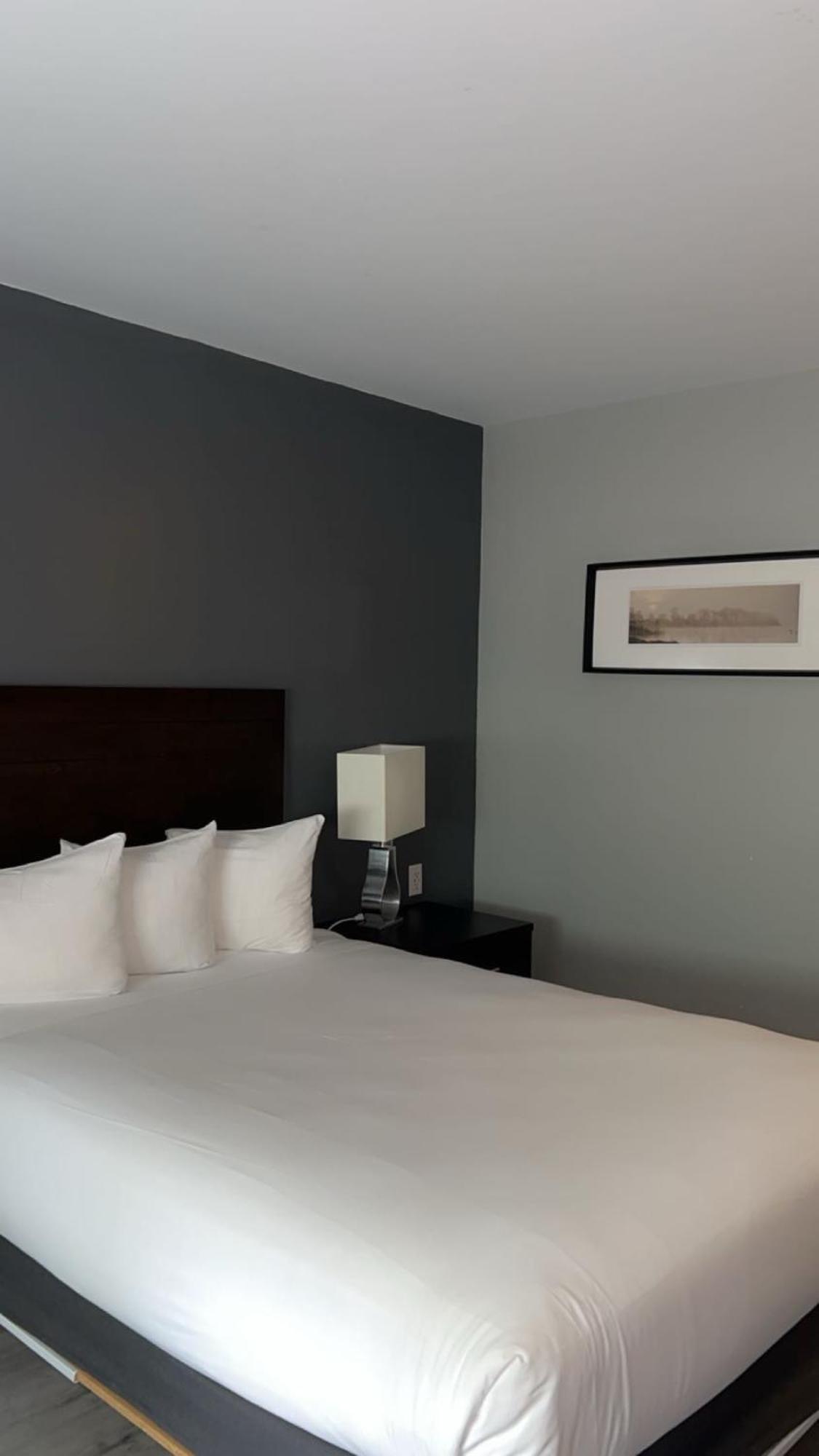 Hotel Newstar מונטריאול מראה חיצוני תמונה