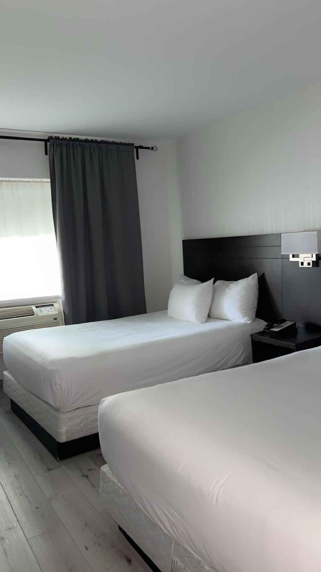 Hotel Newstar מונטריאול מראה חיצוני תמונה