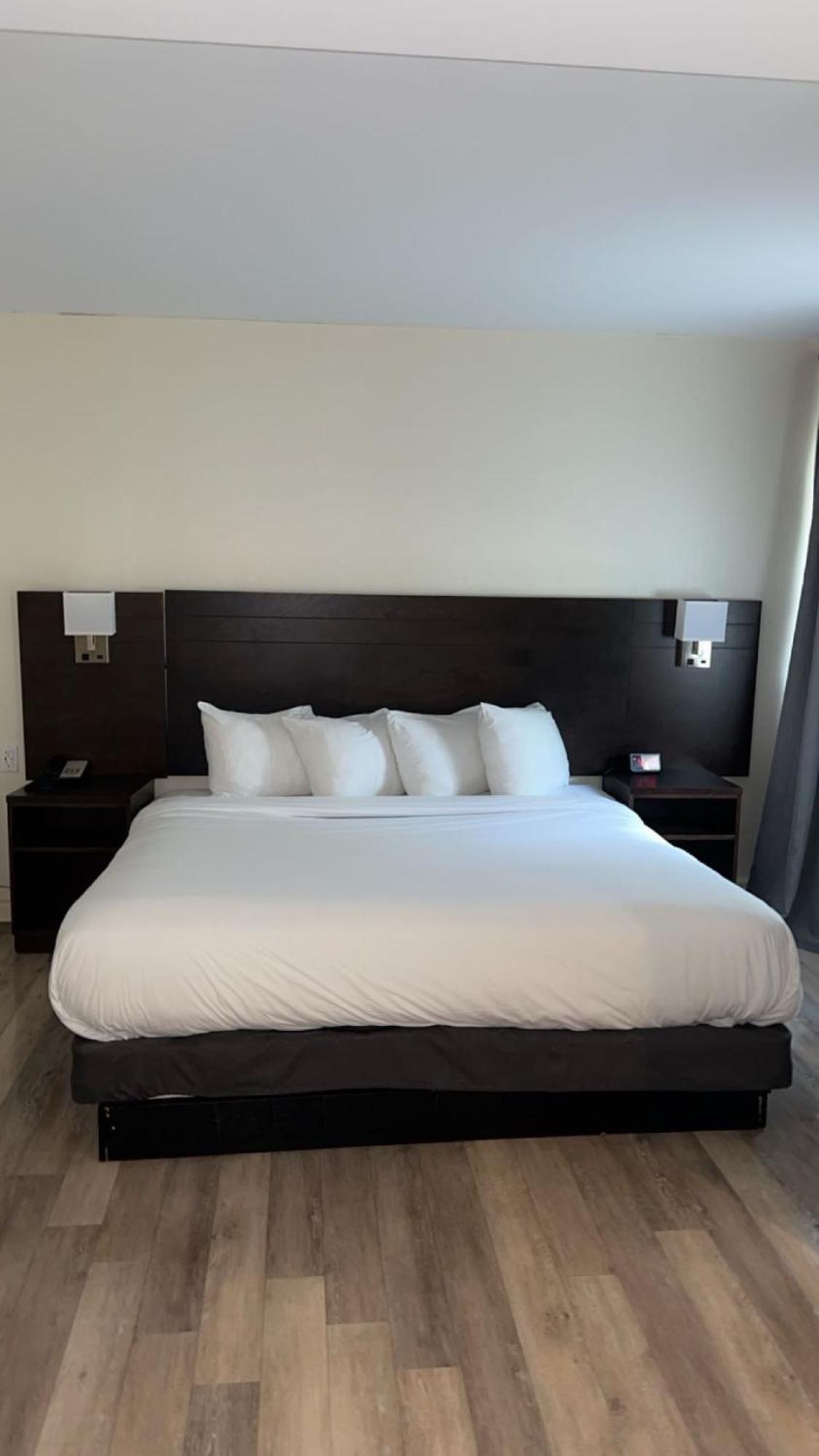 Hotel Newstar מונטריאול מראה חיצוני תמונה