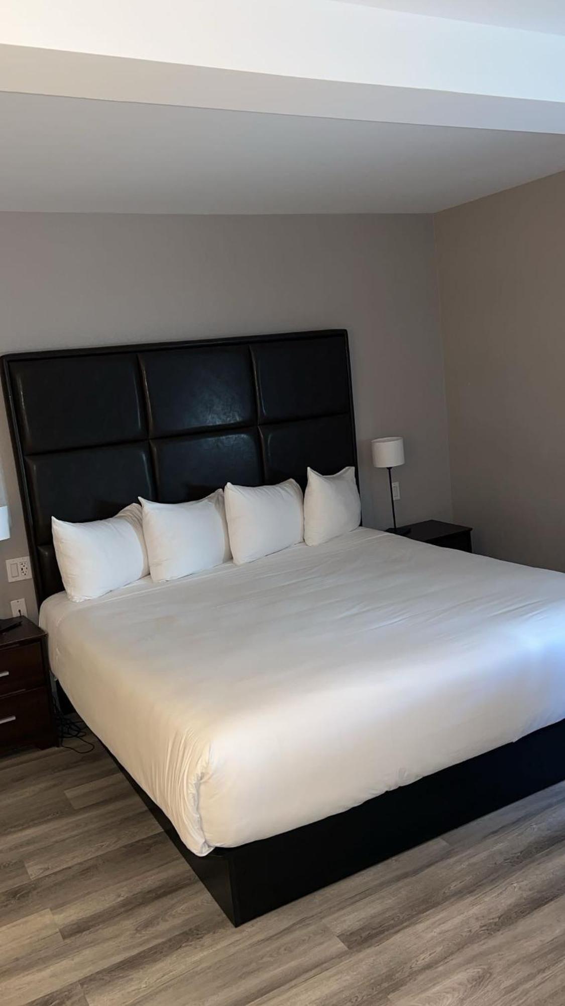Hotel Newstar מונטריאול מראה חיצוני תמונה